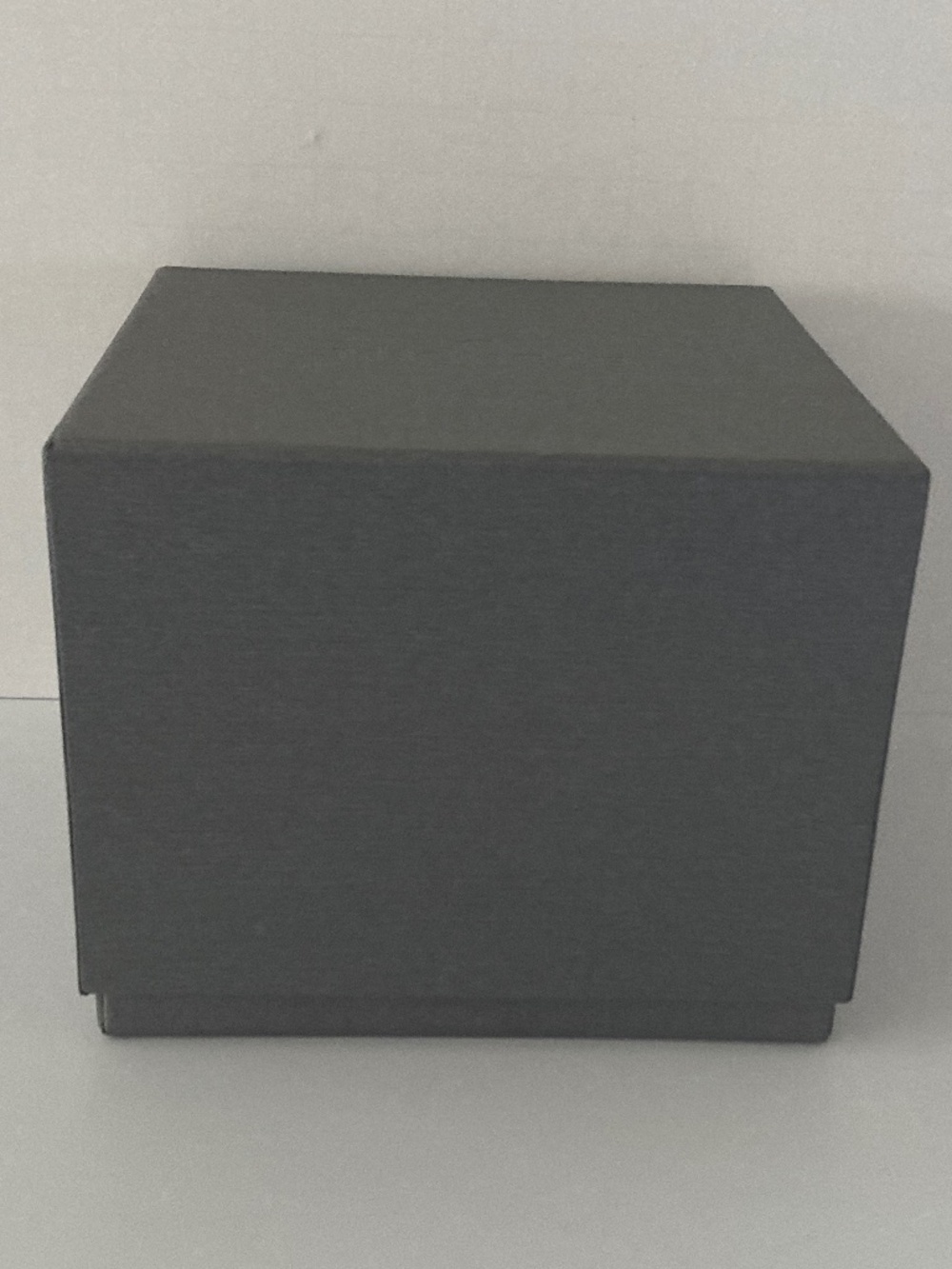 Michele Gray Watch Box/Cushion/Polishing Cloth/Manual/Warranty Card/NEVER USED!! - Picture 3 of 16